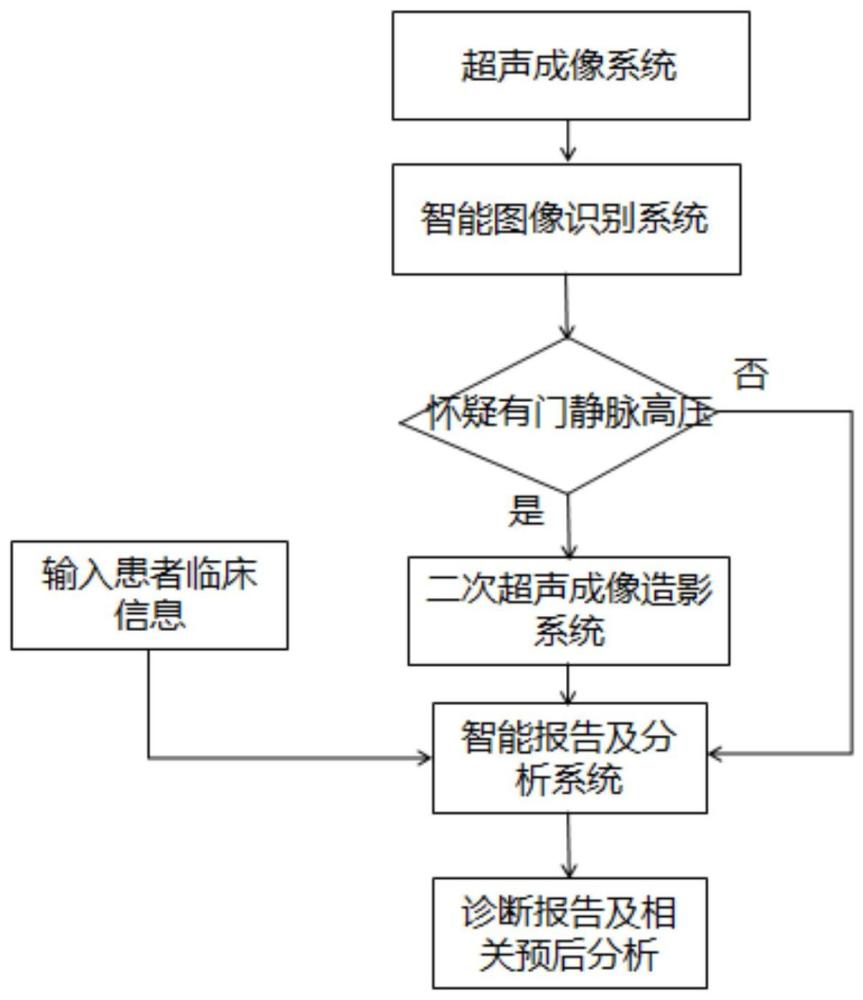 基于人工智能和超聲的門靜脈高壓篩查診療輔助系統(tǒng)及方法