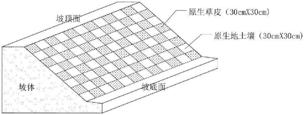 一种工程扰动后亚高山草甸边坡生态修复的方法