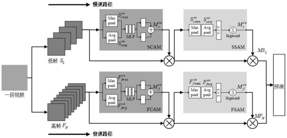 一種基于雙路徑混合注意力網(wǎng)絡(luò)的視頻行為識別方法