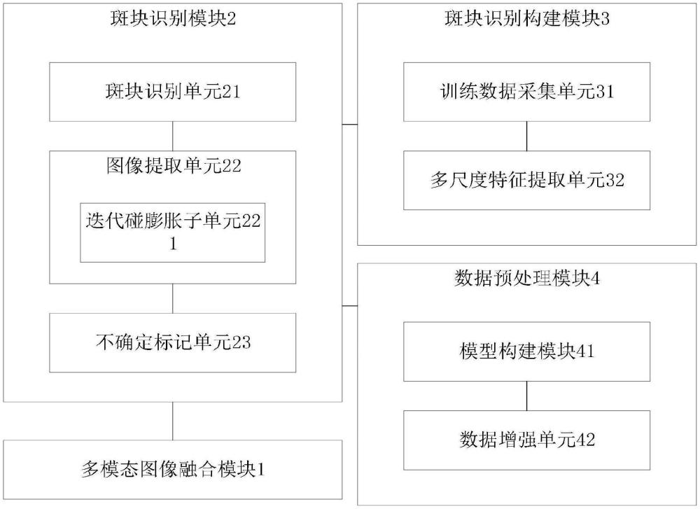 一種頸動脈易損斑塊識別系統(tǒng)及方法與流程