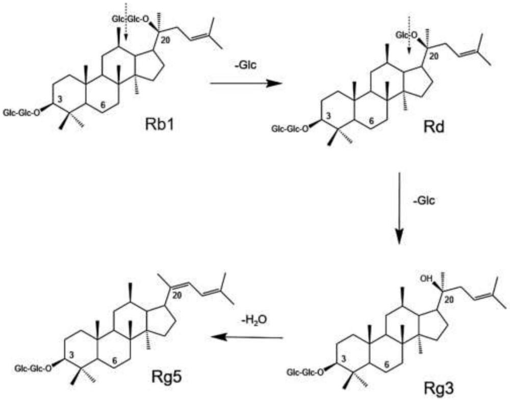 一種人參皂苷Rb1轉(zhuǎn)化制備人參皂苷Rg3和Rg5的方法