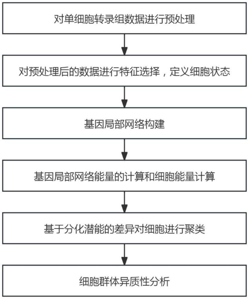 一種基于能量指標(biāo)評估細(xì)胞群體異質(zhì)性的方法