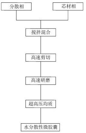 一種難溶性大健康原料加工成水分散性微膠囊的制備方法與流程