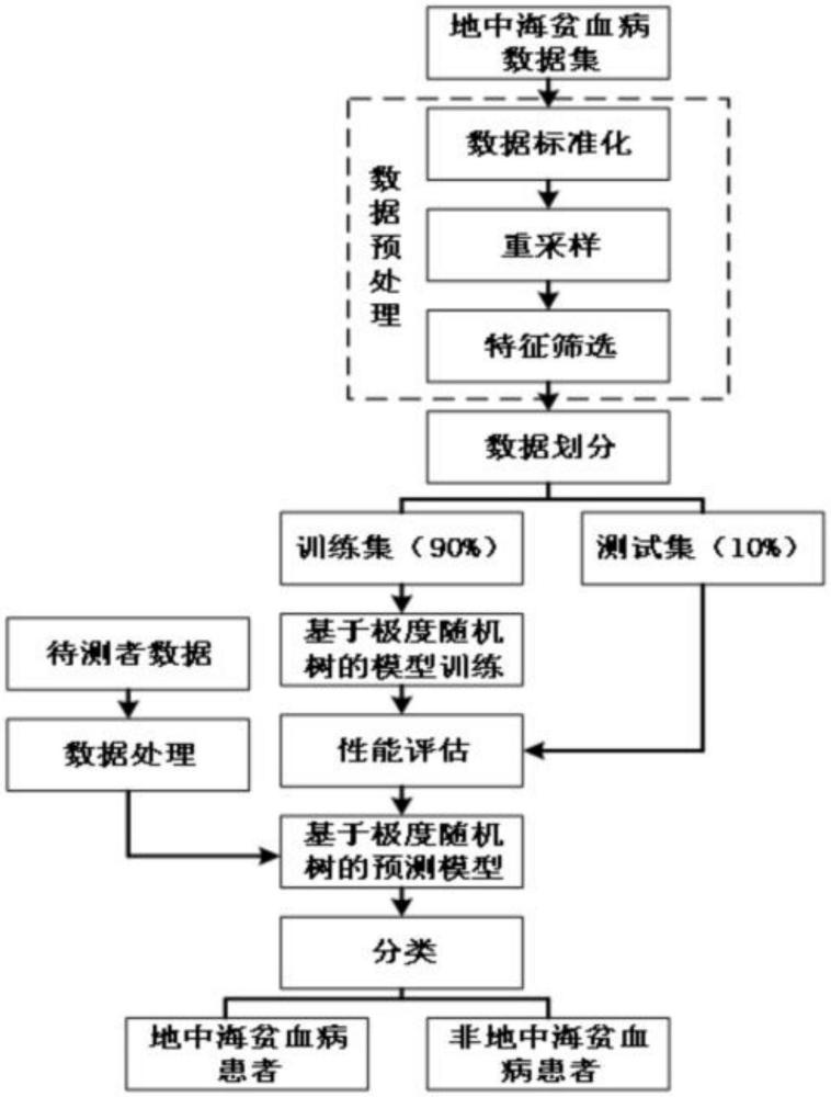 一種基于極度隨機(jī)樹的地中海貧血病預(yù)測(cè)方法與流程