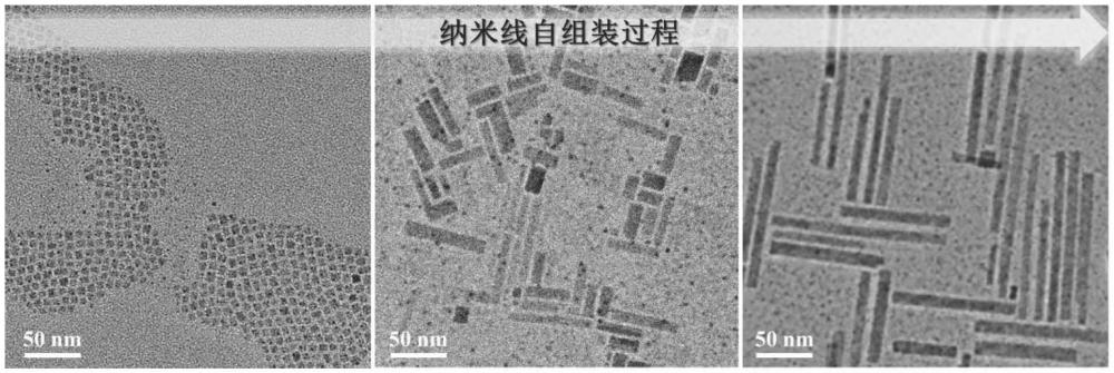 一種基于室溫原位自組裝制備鈣鈦礦納米線的方法