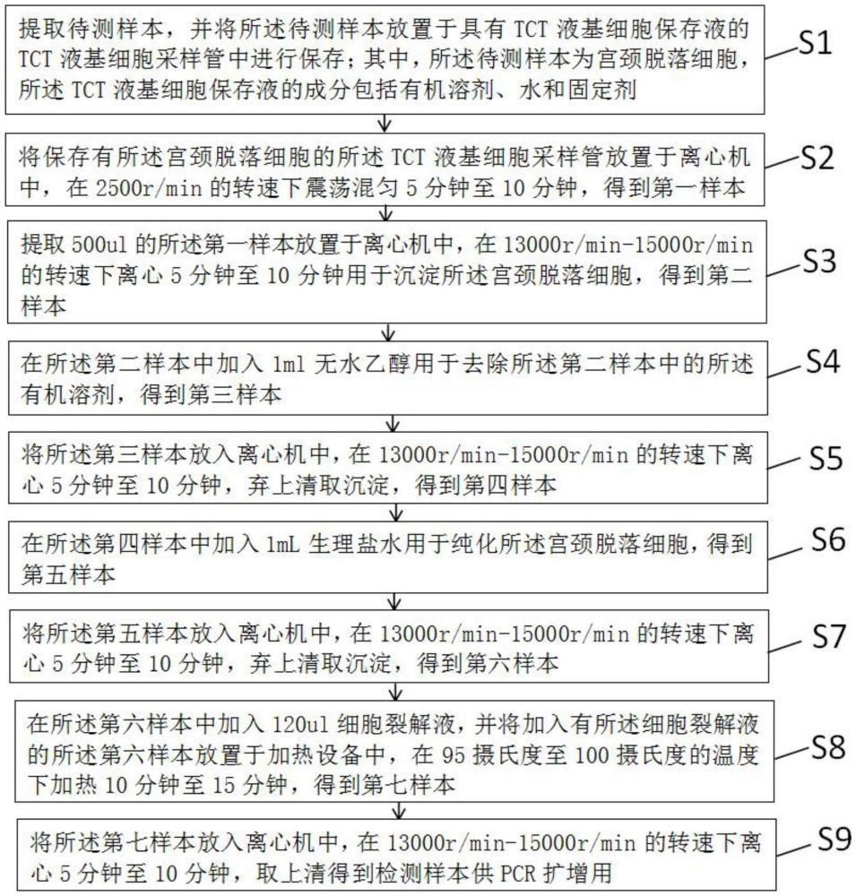 一種基于TCT檢測的宮頸癌篩查方法與流程