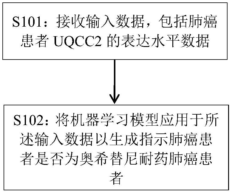 基于UQCC2計(jì)算機(jī)輔助診斷奧希替尼耐藥肺癌患者、預(yù)測(cè)藥物治療效果和篩選藥物的方法、系統(tǒng)和設(shè)備