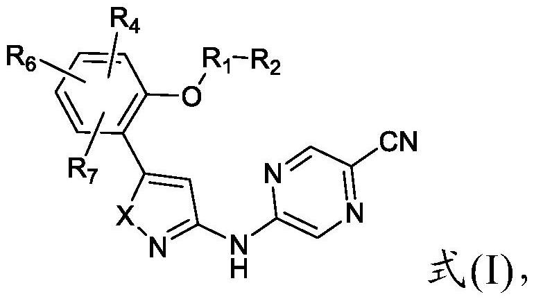 作為檢查點(diǎn)激酶1抑制劑的含氮五元雜環(huán)衍生物及其用途的制作方法