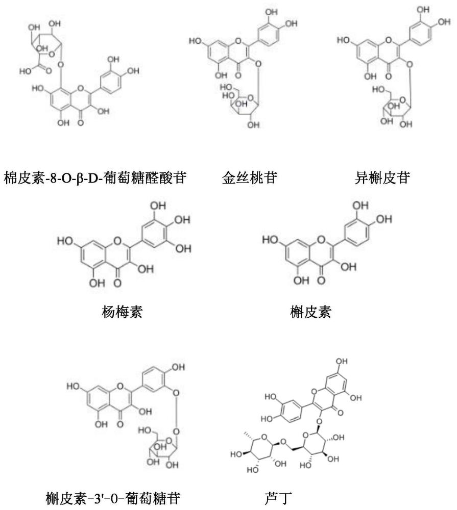 一種藥物組合物及其應(yīng)用的制作方法