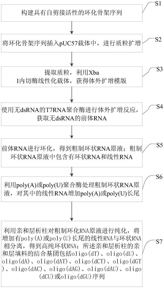 高純度環(huán)狀RNA的制備方法