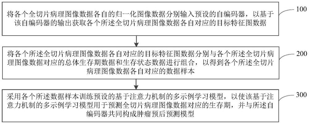 腫瘤預(yù)后預(yù)測(cè)模型訓(xùn)練方法、腫瘤預(yù)后預(yù)測(cè)方法及裝置