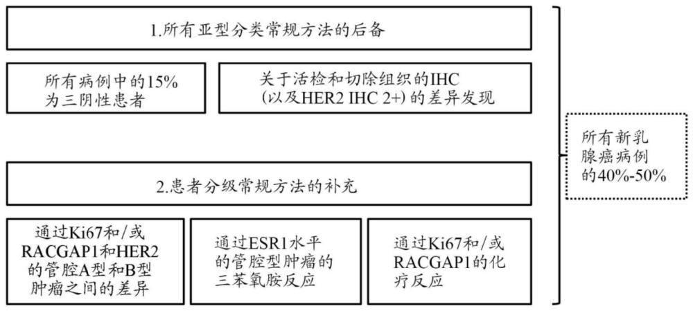 用于腫瘤分子亞型分型的方法和試劑盒與流程