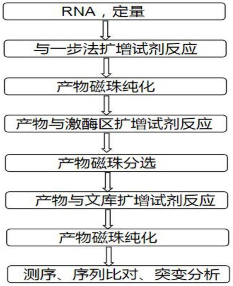 一種檢測BCR::ABL1酪氨酸激酶區(qū)復合突變的體系、試劑盒及方法與流程