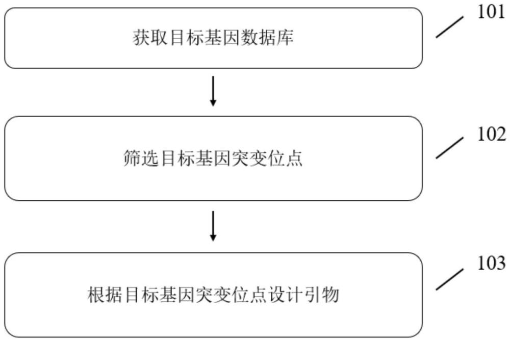 一種引物設(shè)計(jì)方法及引物組與流程