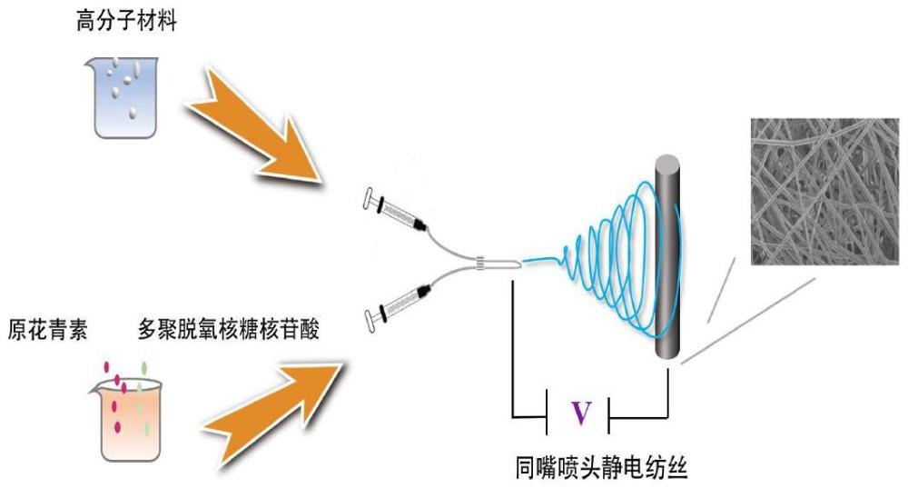 一種小口徑人工血管及其制備方法與流程