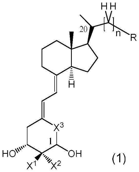 側(cè)鏈具有環(huán)狀胺的維生素D衍生物的制作方法