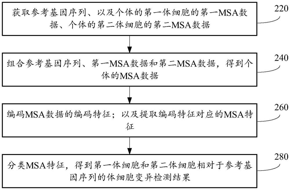 体细胞变异检测方法、装置、设备、介质和程序产品与流程