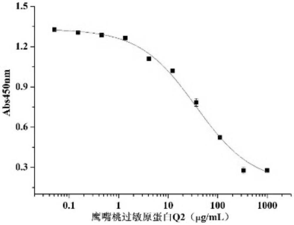 一种鹰嘴桃过敏原蛋白Q2及其应用