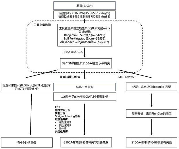 一种基于孟德尔随机化原理分析的药物靶点筛选方法