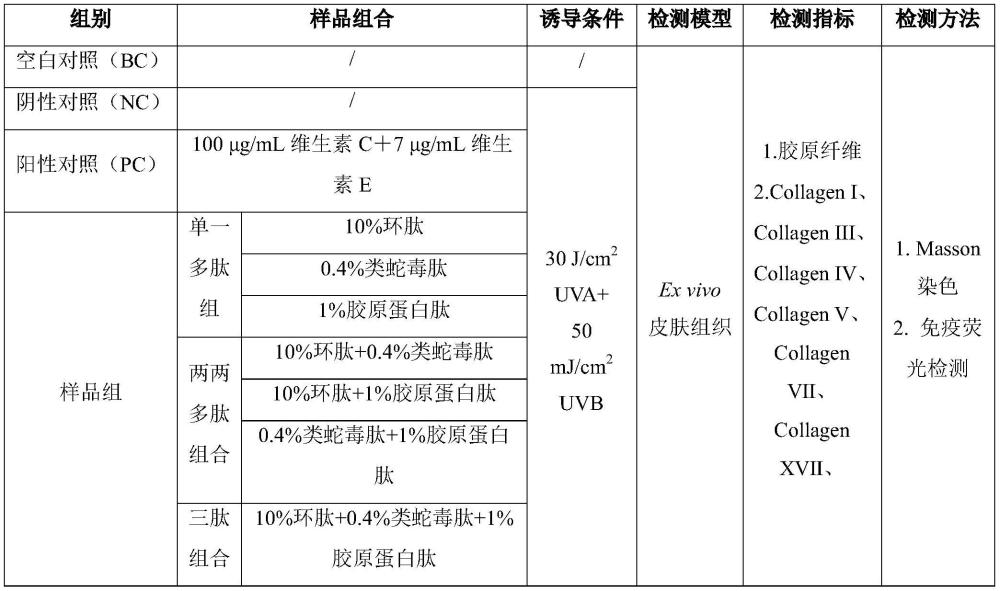 一种具有抗衰功效的环肽组合物的制作方法