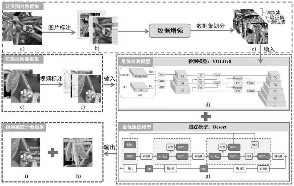 一种花荚计数方法、系统、设备及介质