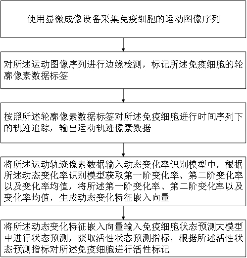 一种免疫细胞的状态分析方法及系统与流程