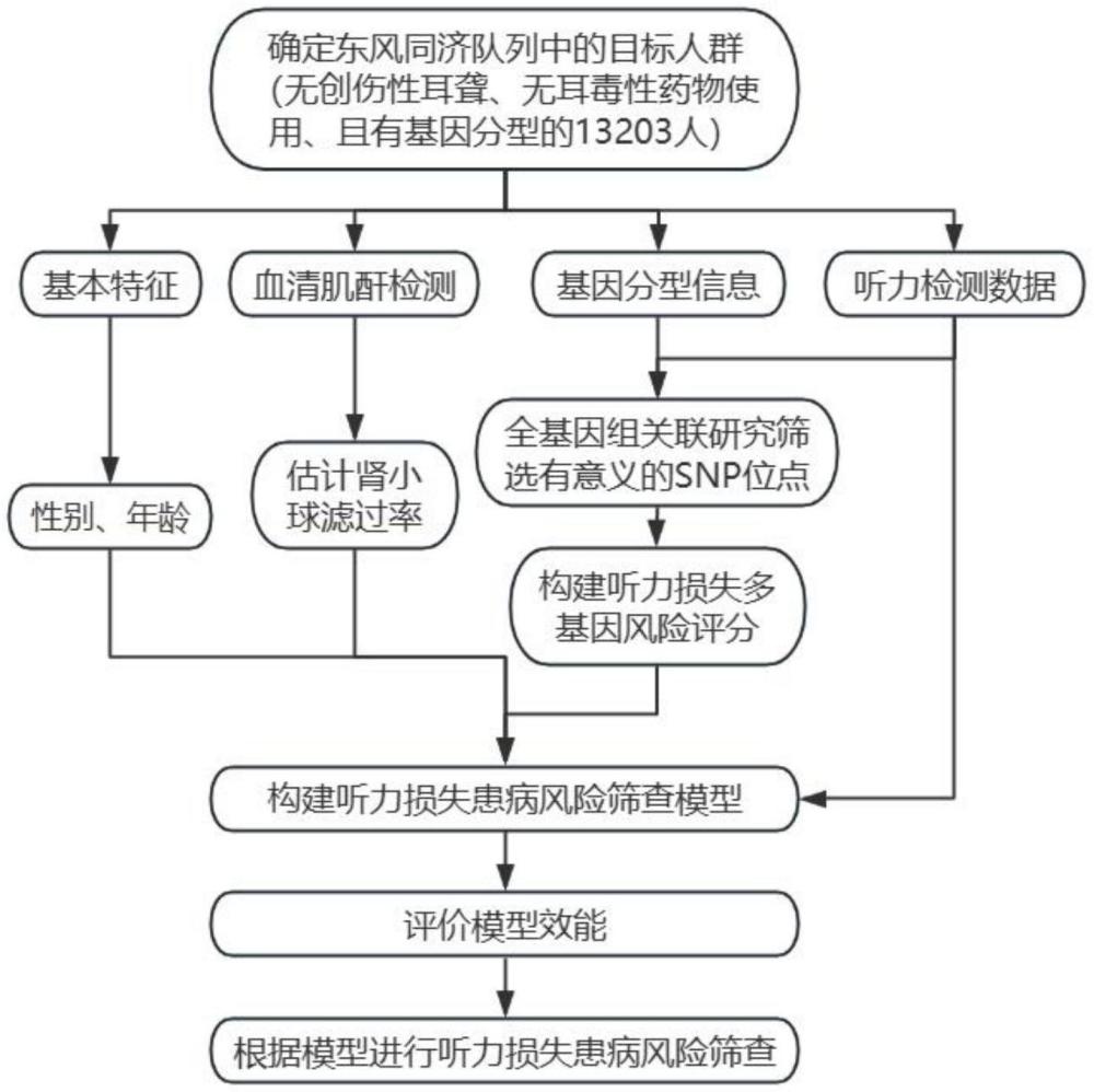 一种听力损失患病风险预测方法、系统、设备及介质