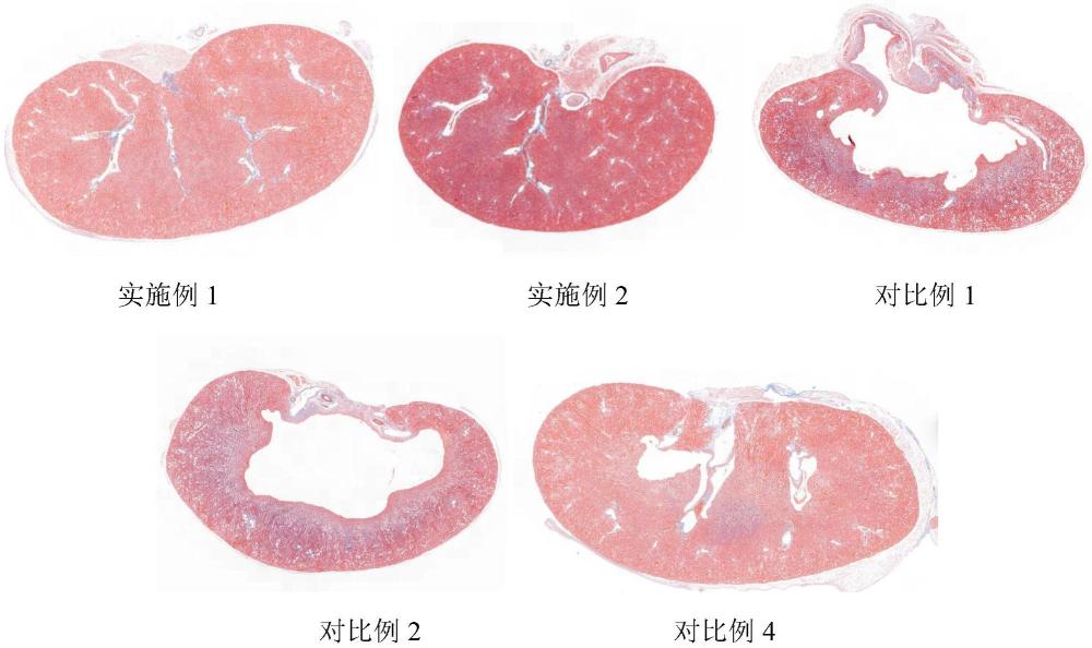 一种治疗宠物肾衰竭的兽药组合物及其脂质体和应用的制作方法