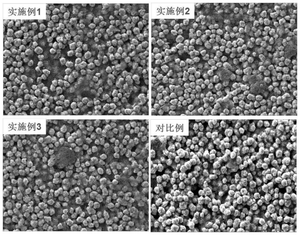 一种正极浆料及其制备方法、使用其制备的锂电池正极片与流程