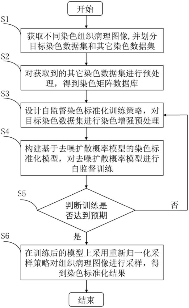 一种基于去噪扩散概率模型的自监督染色标准化方法