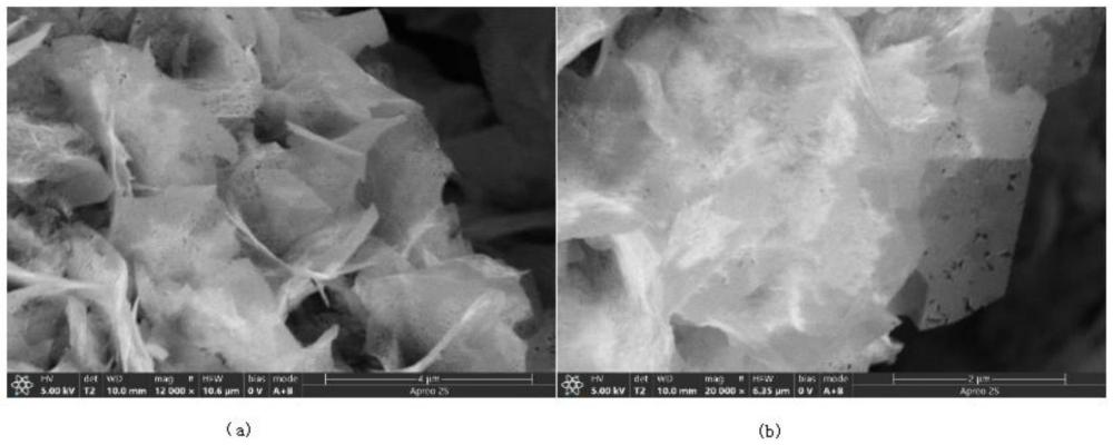 一种Eu掺杂Ni(PO3)2多孔纳米片电催化剂的制备方法与应用