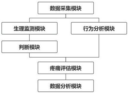 肿瘤患者疼痛数据处理系统