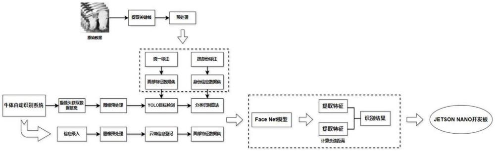 牛只的面部识别方法以及系统