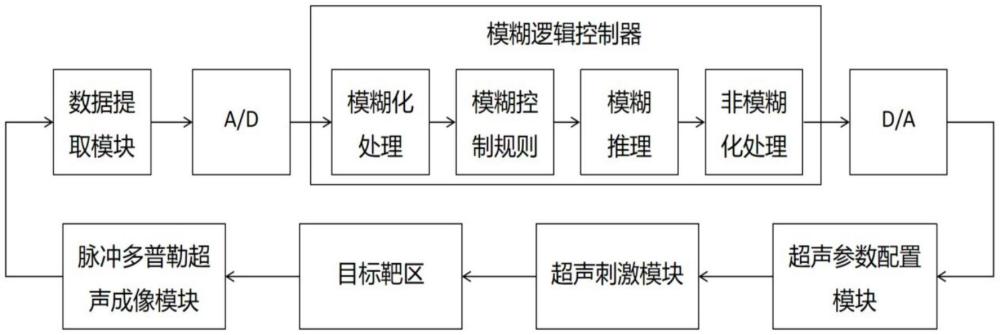 超声刺激腓神经的闭环血流动力学调节成像系统及方法