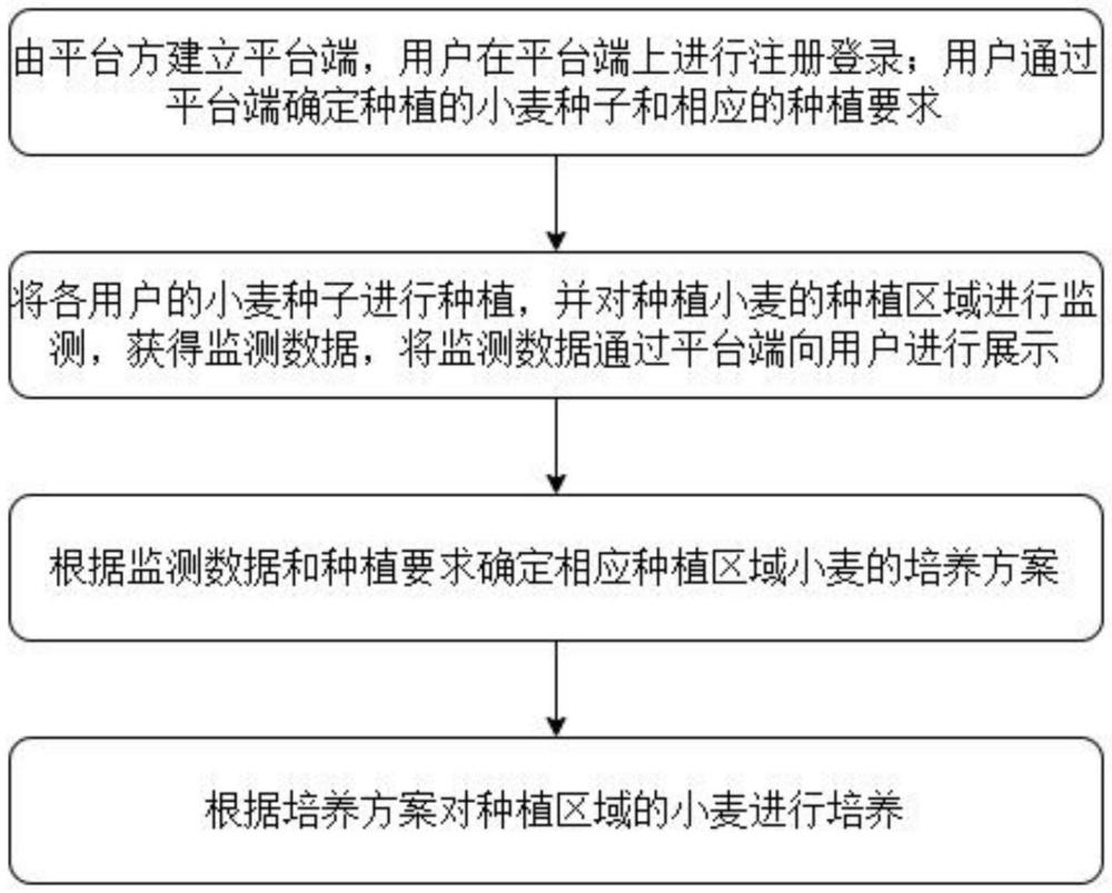 一种基于大数据分析的小麦培养方法与流程