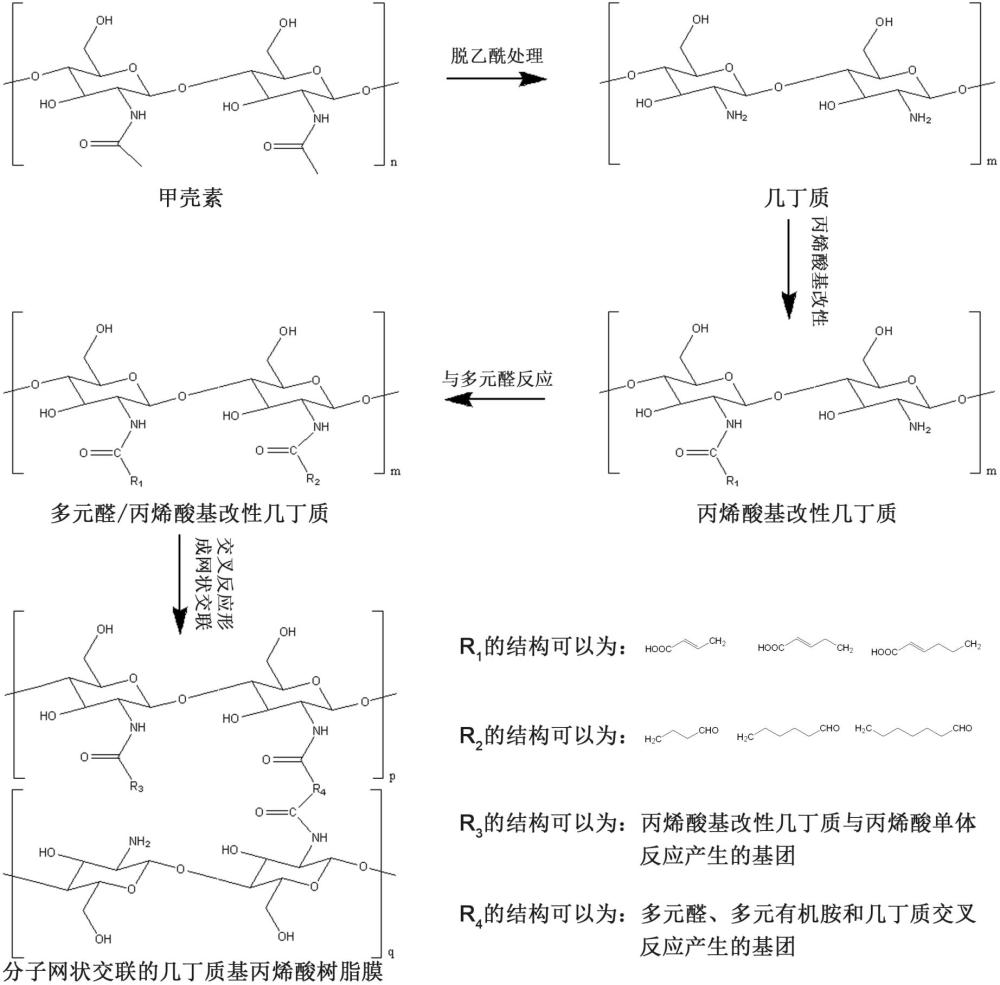 一种几丁质基丙烯酸树脂及其制备方法与流程