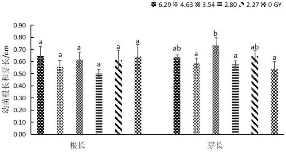 一種中子輻照多葉棘豆誘變育種推薦劑量的方法
