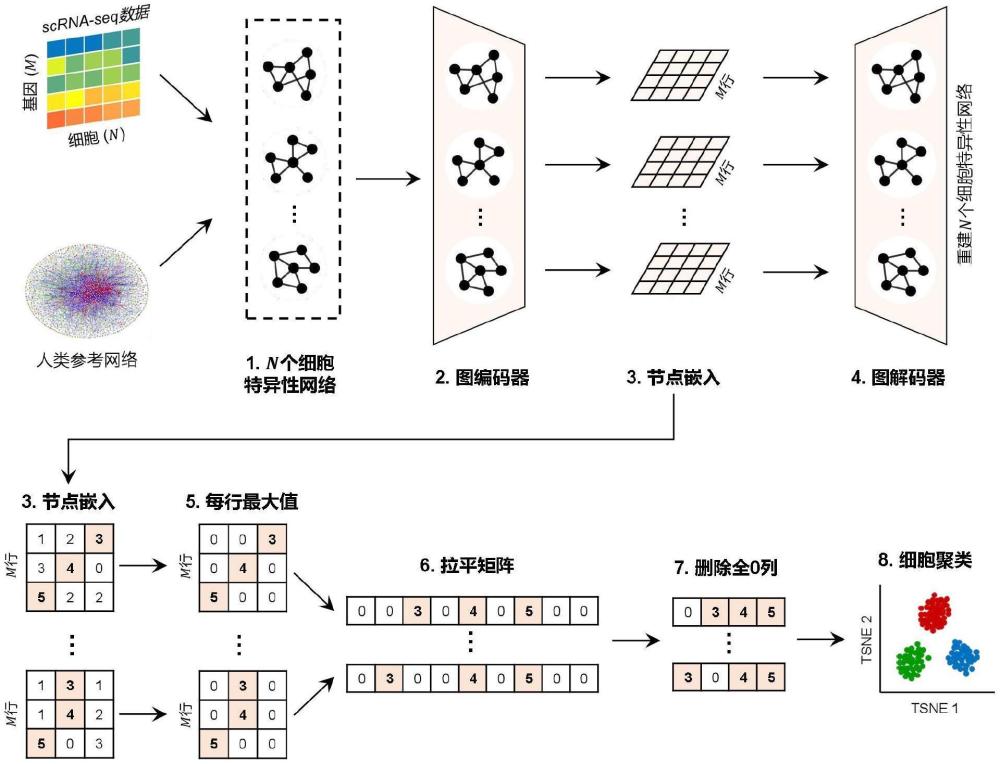 基于图transformer的单细胞RNA测序数据聚类方法