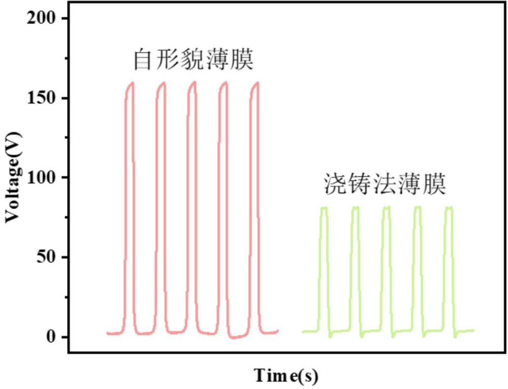 一种自形貌化胶原纤维复合膜及基于其的一种摩擦柔性传感器