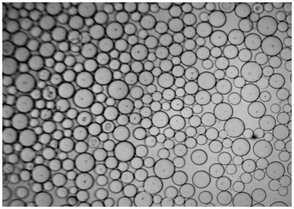 一种孔径可调多孔软胶微球的制备方法及多孔软胶微球与流程