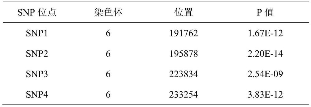 一種與豬黑/白毛色相關(guān)的單倍型分子標(biāo)記及其應(yīng)用