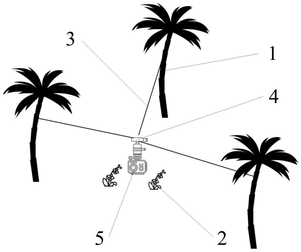 一种对野外植物进行多点多角度拍摄的装置及其工作方法与流程