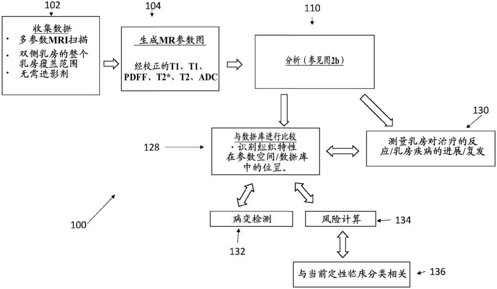 使用多参数MRI表征乳房组织的方法和装置与流程