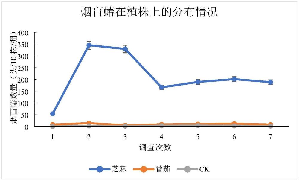 一种利用伴侣植物防控番茄潜叶蛾的方法