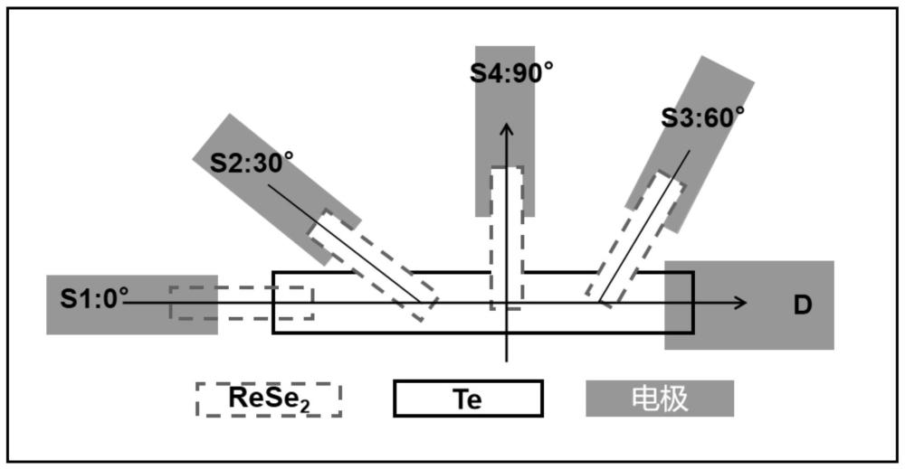 一种二维Te/ReSe2变角度异质结光电探测器及其制备方法和应用