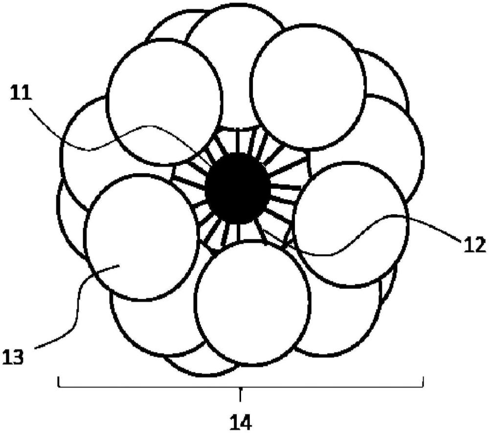 納米粒子復合體的制作方法