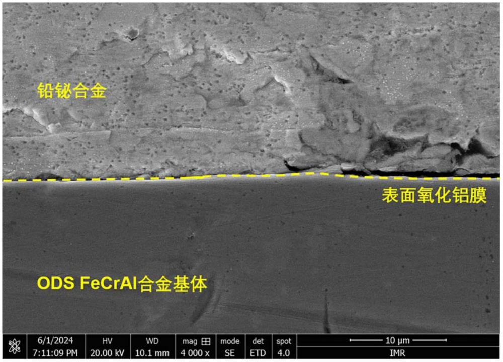 一種耐液態鉛鉍腐蝕的高強度氧化物彌散強化FeCrAl合金及其制備方法