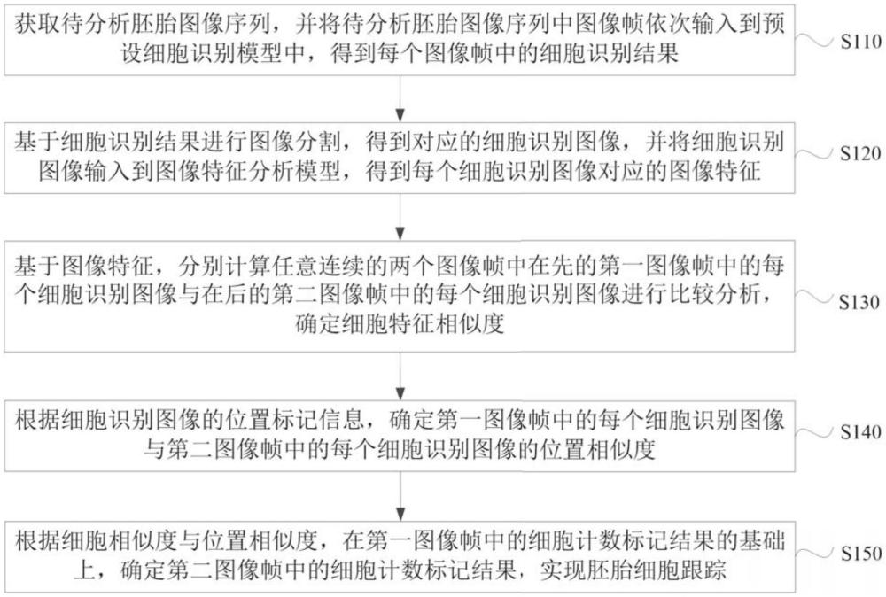 胚胎細胞跟蹤方法、裝置、設備、介質和產品與流程