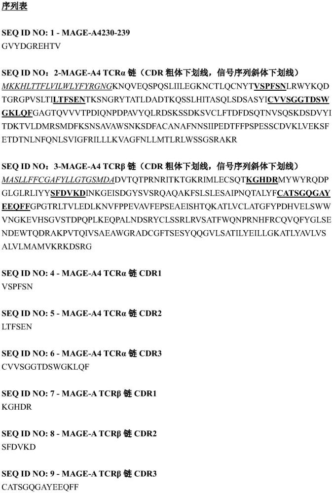 用于治療頭頸癌的修飾的T細胞的制作方法