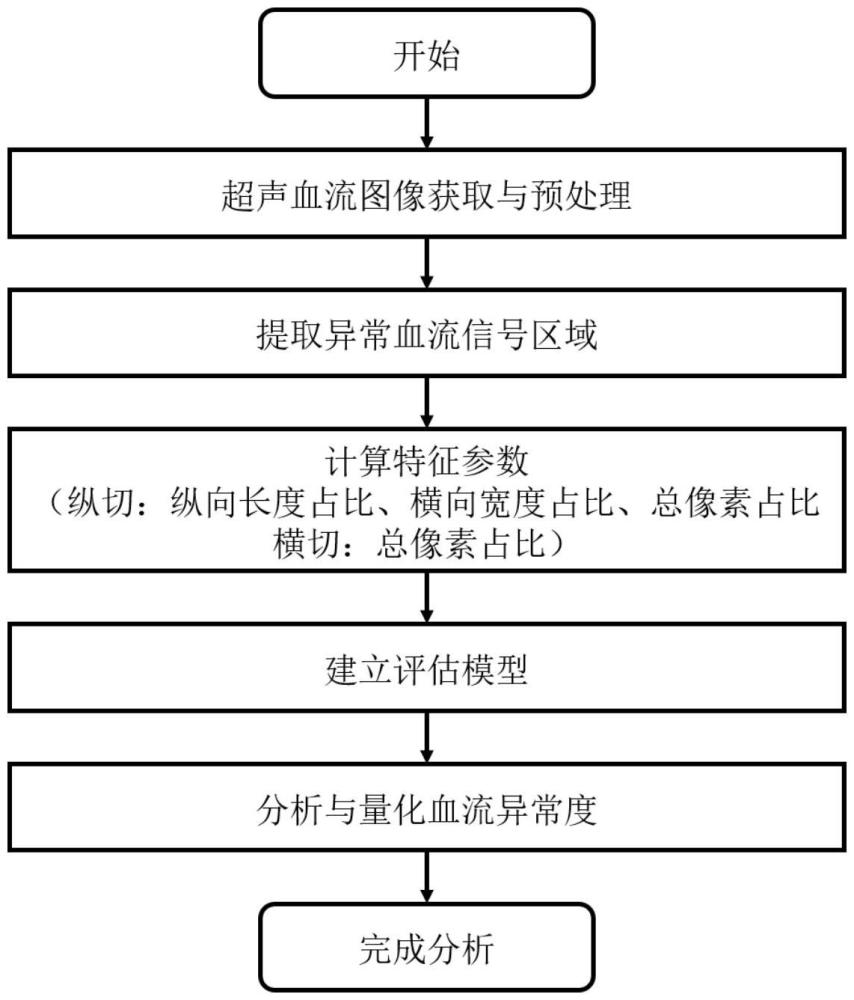基于超聲圖像的異常血流分布表征方法、裝置及設備